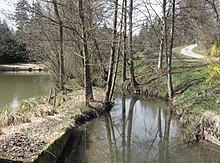 Picture of a portion of the Hambach River dammed by a small weir in continuation of the dam line of the mill pond, at the Bühlerzeller Hambachsägmühle, seen upstream.