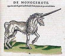 Gravure de licorne blanche