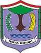 Binjai – Stemma