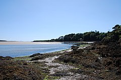 Looking across to Bonc Crogen - geograph.org.uk - 509517.jpg