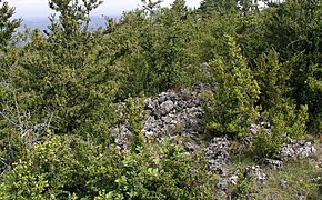 Enceinte protohistorique du Mont Buisson.