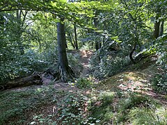 Geländeformation auf dem Gallberg