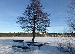 Sjön Norrviken en vinterdag