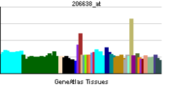 PBB GE HTR2B 206638 at tn.png