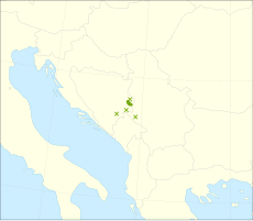 Mapa rozšíření smrku omoriky (křížek označuje izolovanou populaci)