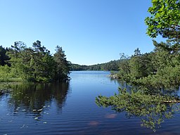 Prästtjärnen från N den 14 juni 2020.