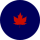 Type 1 Roundel used on non-camouflaged aircraft 1946–1948