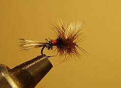 Royal Wulff Dry Fly - A Classic Attractor Pattern