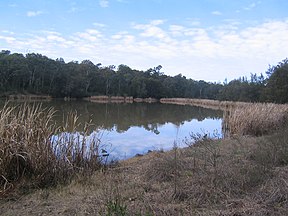 Nördlicher Sumpf in der Longneck Lagoon