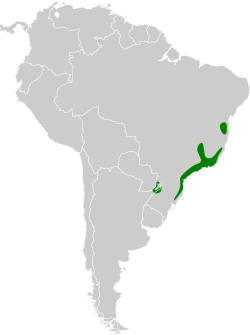 Distribución geográfica del semillero frentiblanco.