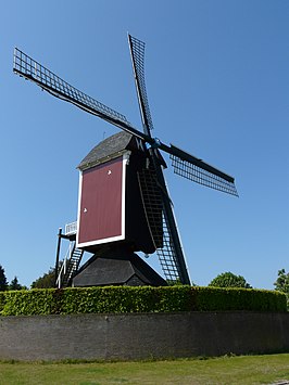 Standerdmolen