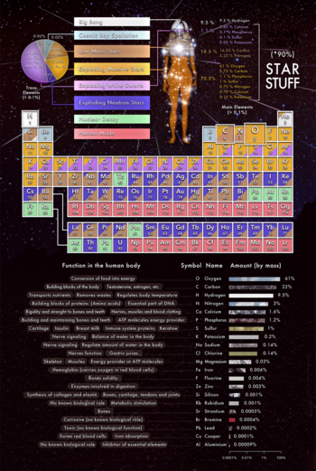 Infographic showing the theorized origin of the chemical elements that make up the human body Star-stuff.png