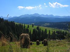 タトラ山脈の丘陵地帯の牧草地