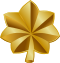 Gold oak leaf