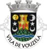 Coat of arms of Vouzela