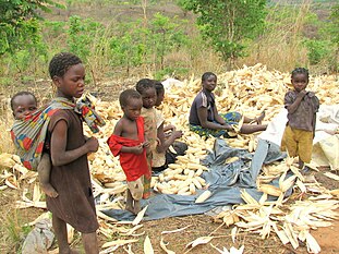 Woman from small village peeling corn - Zambia.jpg