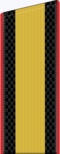 Старшина ВМФ (красный кант).png