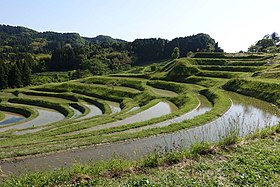 現代の大山千枚田（大字釜沼。2016年5月）