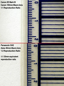 35 mm equivalent magnification: The photograph on top was taken with a full-frame (35 mm) sensor digital SLR camera and a 100 mm macro lens at 1:1 magnification. The photograph on the bottom was taken with a Micro Four Thirds (2x crop) sensor camera and a 50 mm macro lens at 1:2 magnification. The subject height in both images is 24 mm. Photographs taken with these two set-ups will be at practically the same scale at the same print size, lending the photograph on the bottom its 1:1 35 mm equivalent reproduction ratio status. 35mm Equivalent Reproduction Ratio.jpg