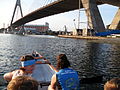 View of ANZAC Bridge from dragon boat on Blackwattle Bay