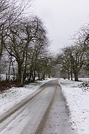 Baiertaler Weg, historische Verkehrsader Nußloch - Baiertal