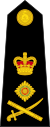 British Royal Marines OF-9.svg