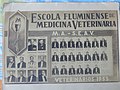 Escola Fluminense de Medicina Veterinária. Veterinários 1953