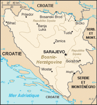 Description de l'image Carte_de_Bosnie.png.