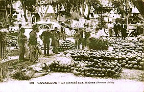 Le marché aux melons à Cavaillon au début du XXe siècle