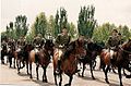 Coraceros con uniforme de diario en fornmación