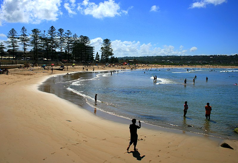 Image:Dee Why Beach.JPG