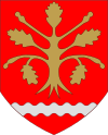 Wappen von Finström