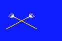 Flag of Chukhlomsky District