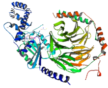 http://upload.wikimedia.org/wikipedia/commons/thumb/9/90/G-Protein.png/220px-G-Protein.png