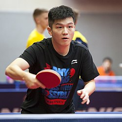 Fan Zhendong vuonna 2017.