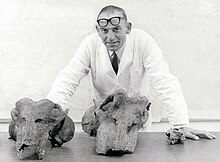 James Kitching avec des fossiles de Lystrosaurus.