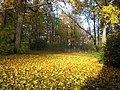 Park bij het landhuis