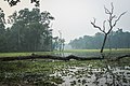 छोटो चित्र २२:०३, १६ मे २०१८ संस्करणको रुपमा