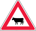 Animals e.g for cattle