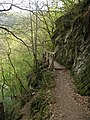 Lieserpfad hiking trail in the Eifel