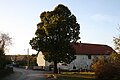 Lutherlinde (Gartendenkmal) und Gedenkstein