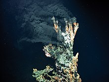 The black smoker "Candelabra" in the Logatchev hydrothermal field on the Mid-Atlantic Ridge at a water depth of 3,300 m (10,800 ft) MARUM Schwarzer Raucher.jpg