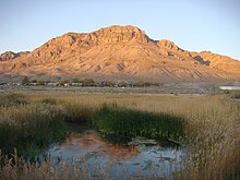 Wetlands contrast the hot, arid landscape around Middle Spring, Fish Springs National Wildlife Refuge, Utah MiddleSpring.JPG