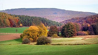 Blick von Süden auf den Bereich um das Niedermoor im Schutzgebiet. Im Hintergrund der Hohe Meißner.