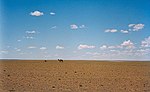 Miniatura per Deserto del Gobi