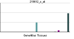 PBB GE FGG 219612 s at tn.png