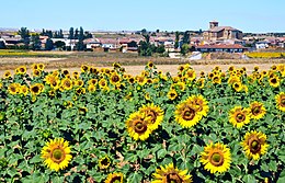 Padilla de Abajo – Veduta