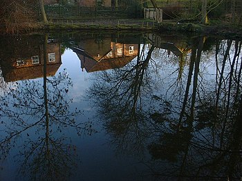 English: Pond Reflections Winter Scene. Glebe ...