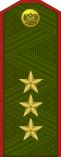 Russia-Army-OF-8-1994-field.svg