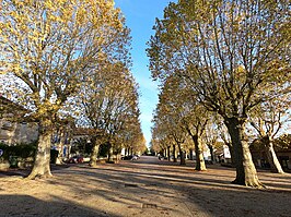 Place du Champ de Foire